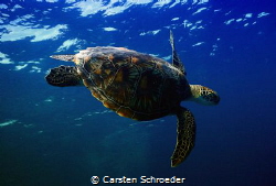 into the Blue taken with an Nikon AW 130 by Carsten Schroeder 